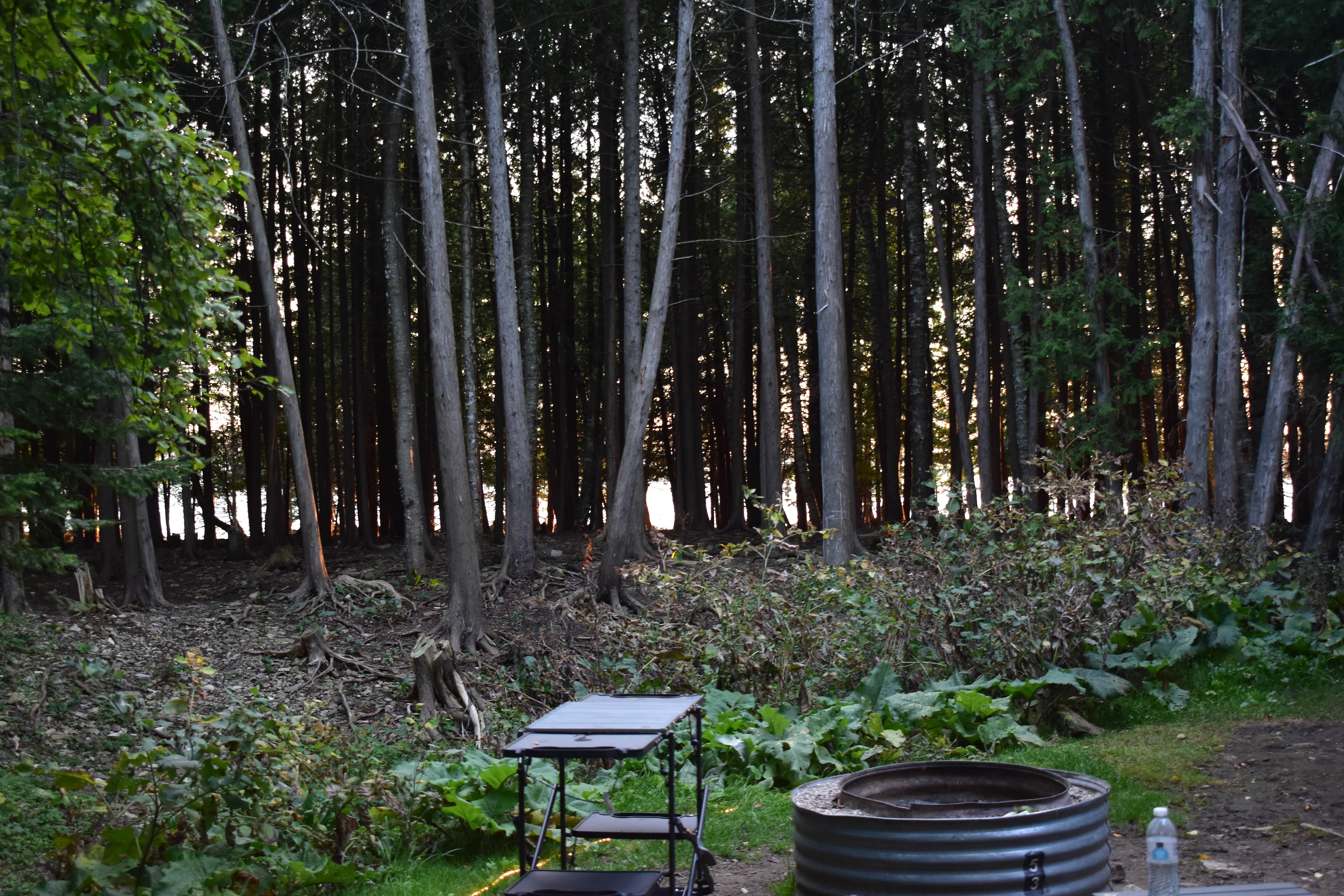 Camper-submitted photo at Fayette State Park Campground near Escanaba, MI