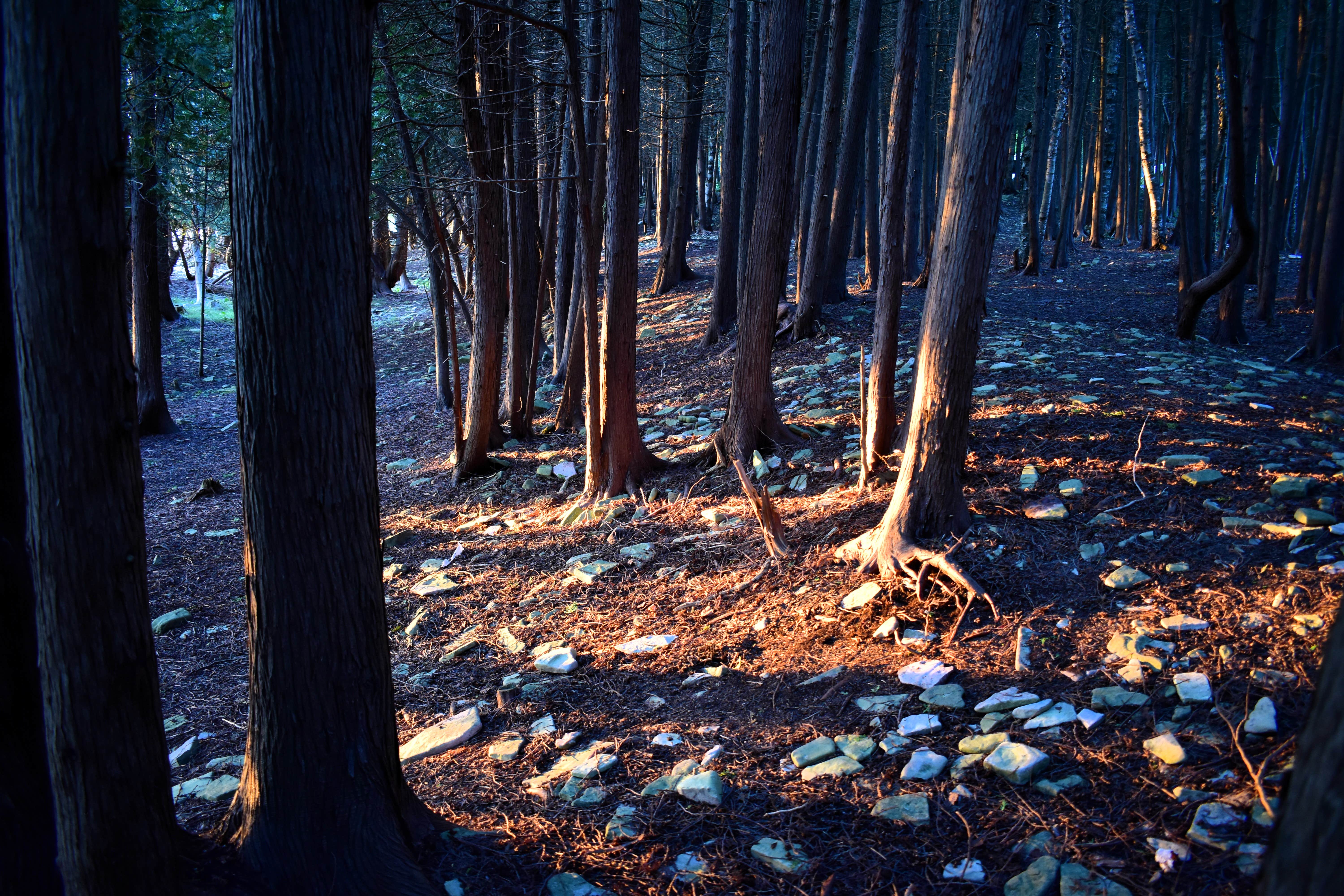 Camper-submitted photo at Fayette State Park Campground near Escanaba, MI