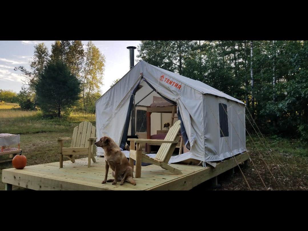 The Dyrt's photo at Featherfoot Farm near Beddington, ME