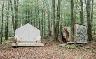 The Dyrt's photo at Back 2 Nature Camp near Milanville, PA