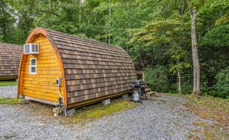 The Dyrt's photo of a cabin at Emberglow Outdoor Resort near Pisgah National Forest