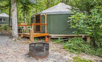 The Dyrt's photo at Emberglow Outdoor Resort near Rutherfordton, NC