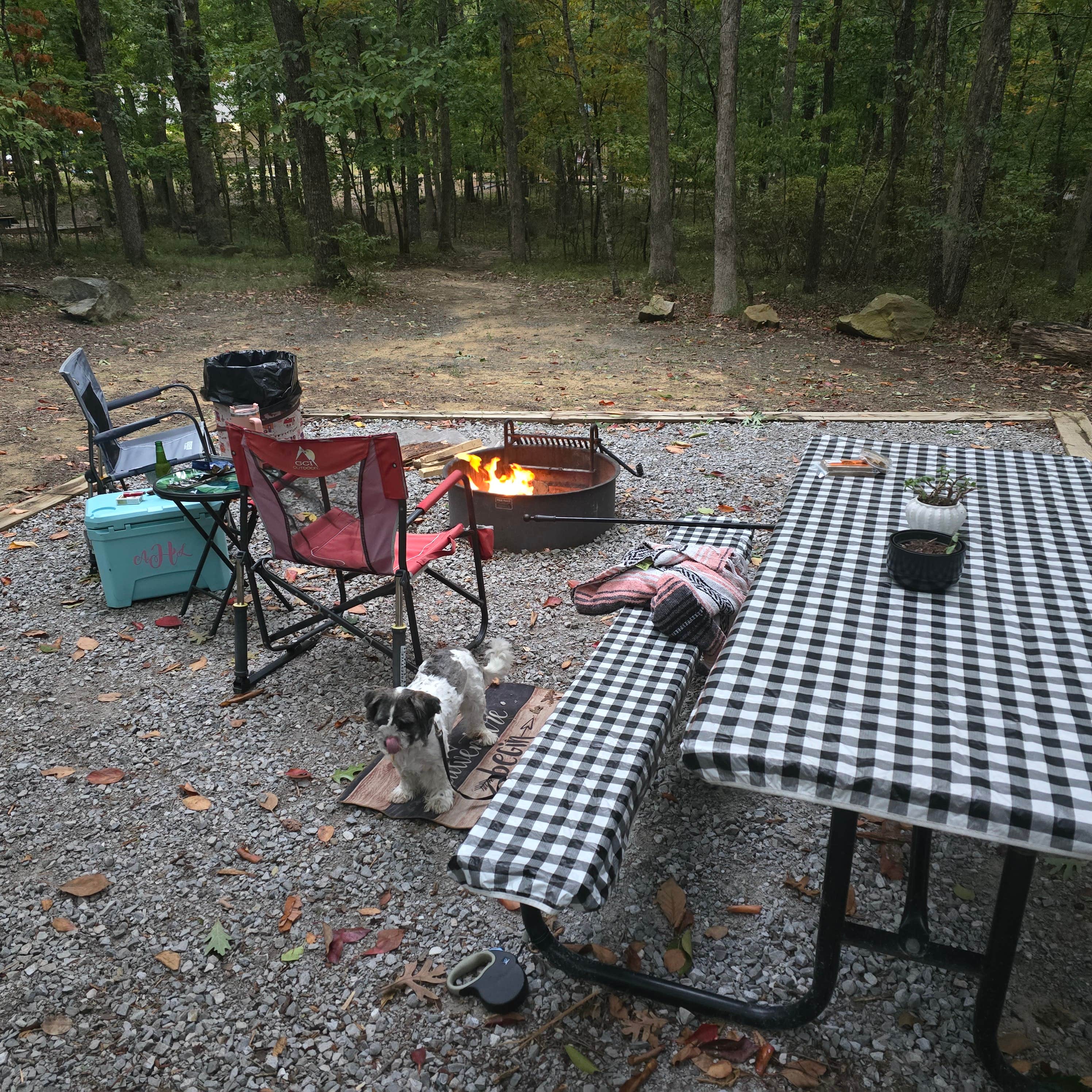 Erich H.'s photo of camping with pets at Cloudland Canyon State Park Campground near Chatsworth, GA