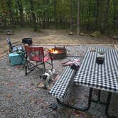 Review photo of Cloudland Canyon State Park Campground by Erich H., September 16, 2024