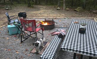 Erich H.'s photo at Cloudland Canyon State Park Campground near Whiteside, TN