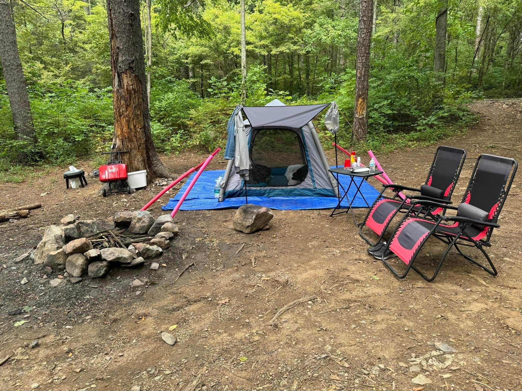 Katrina L.'s photo of a dispersed camping area at George Washington National Forest off 812 near Swoope, VA