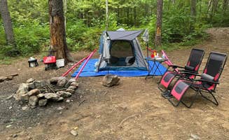Katrina L.'s photo of a dispersed camping area at George Washington National Forest off 812 near Augusta Springs, VA