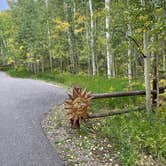 Review photo of Sunshine Campground by Emma T., September 16, 2024