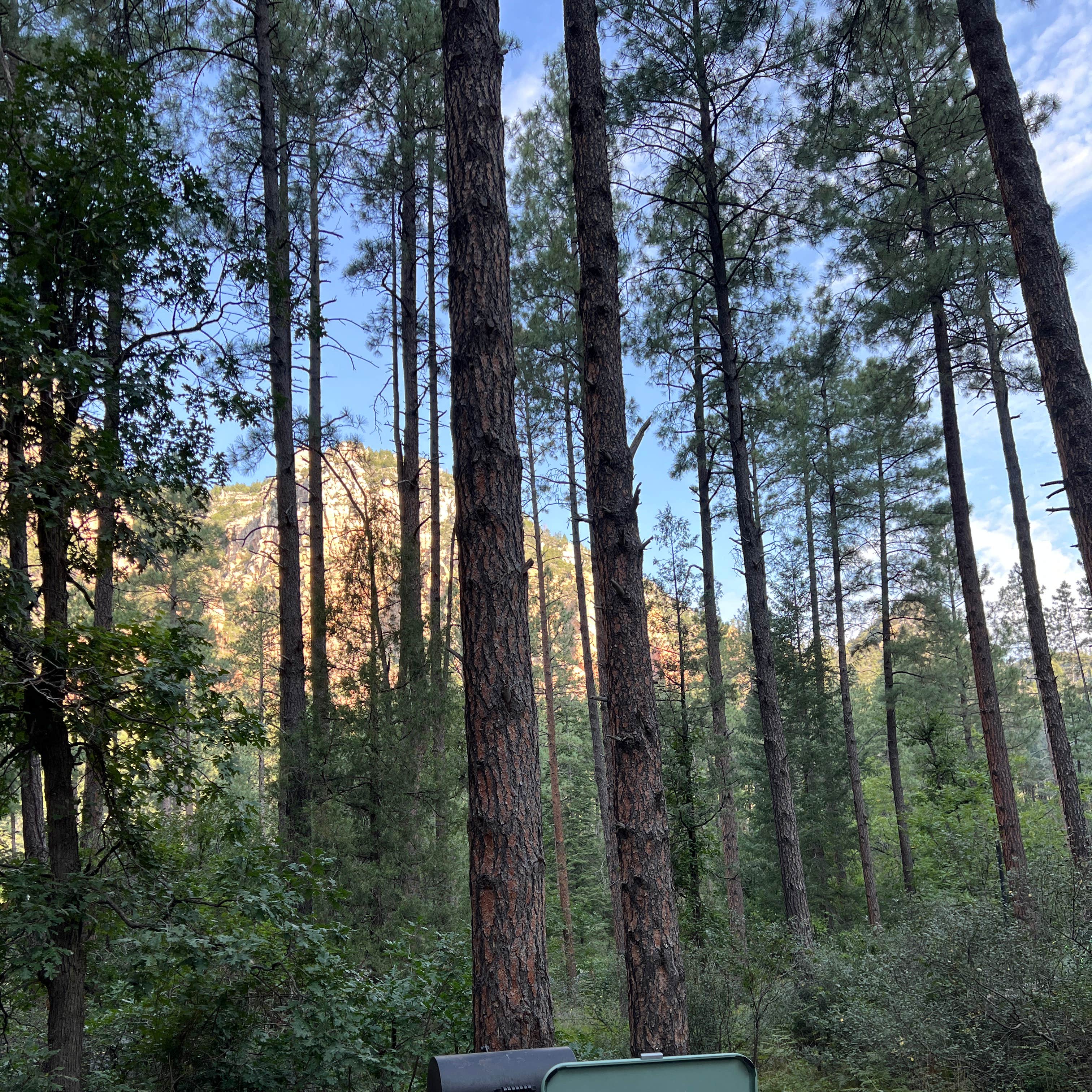 Pine Flat Campground West | Munds Park, Arizona