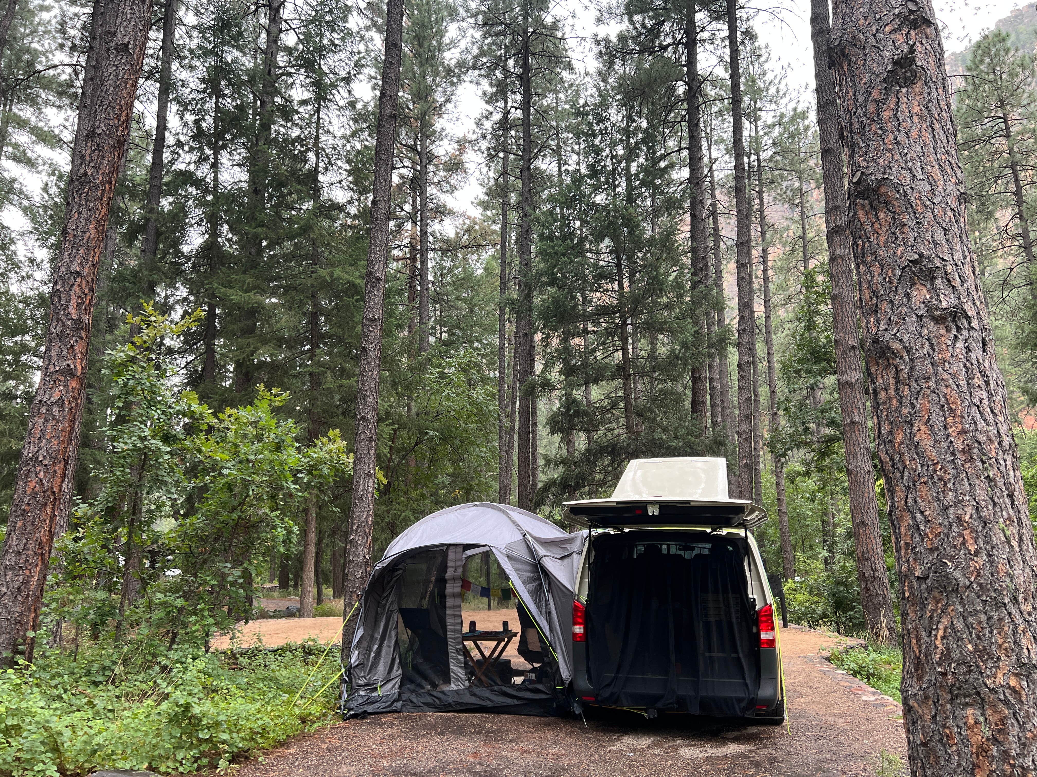 Roxanne S.'s photo at Pine Flat Campground West near Munds Park, AZ