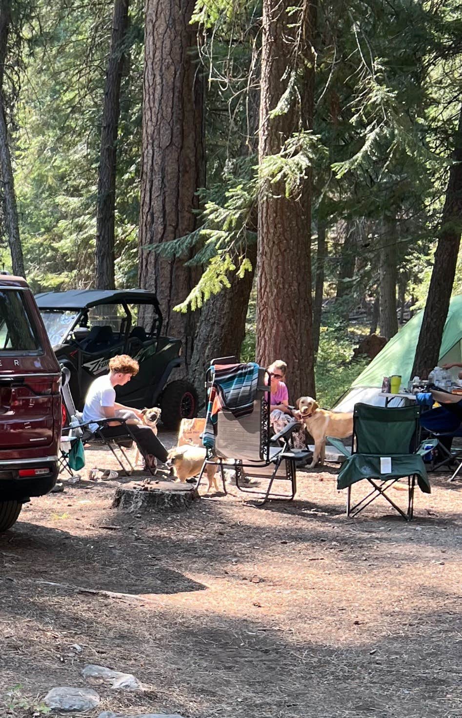 Camper submitted image from Yellow Pine Campground - 1