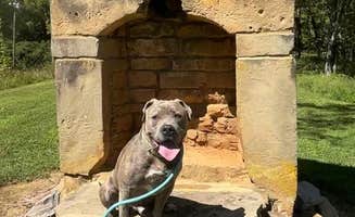 Caroline B.'s photo of camping with pets at Old Chimney RV Park near Byrdstown, TN
