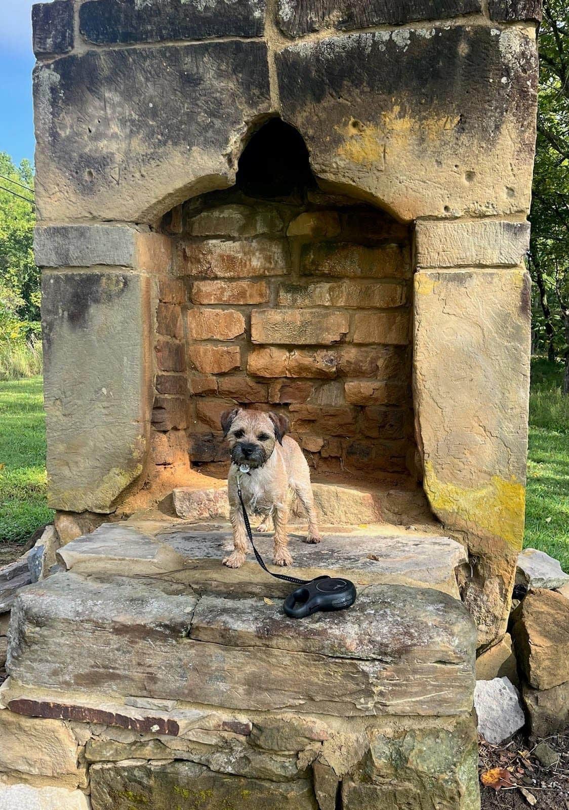 Caroline B.'s photo of camping with pets at Old Chimney RV Park near Albany, KY