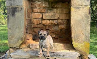 Caroline B.'s photo of camping with pets at Old Chimney RV Park near Albany, KY