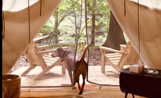 The Dyrt's photo at Malowina near Philmont, NY