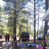 Review photo of Ashurst Lake — Coconino National Forest Recreation by Kim L., September 15, 2016