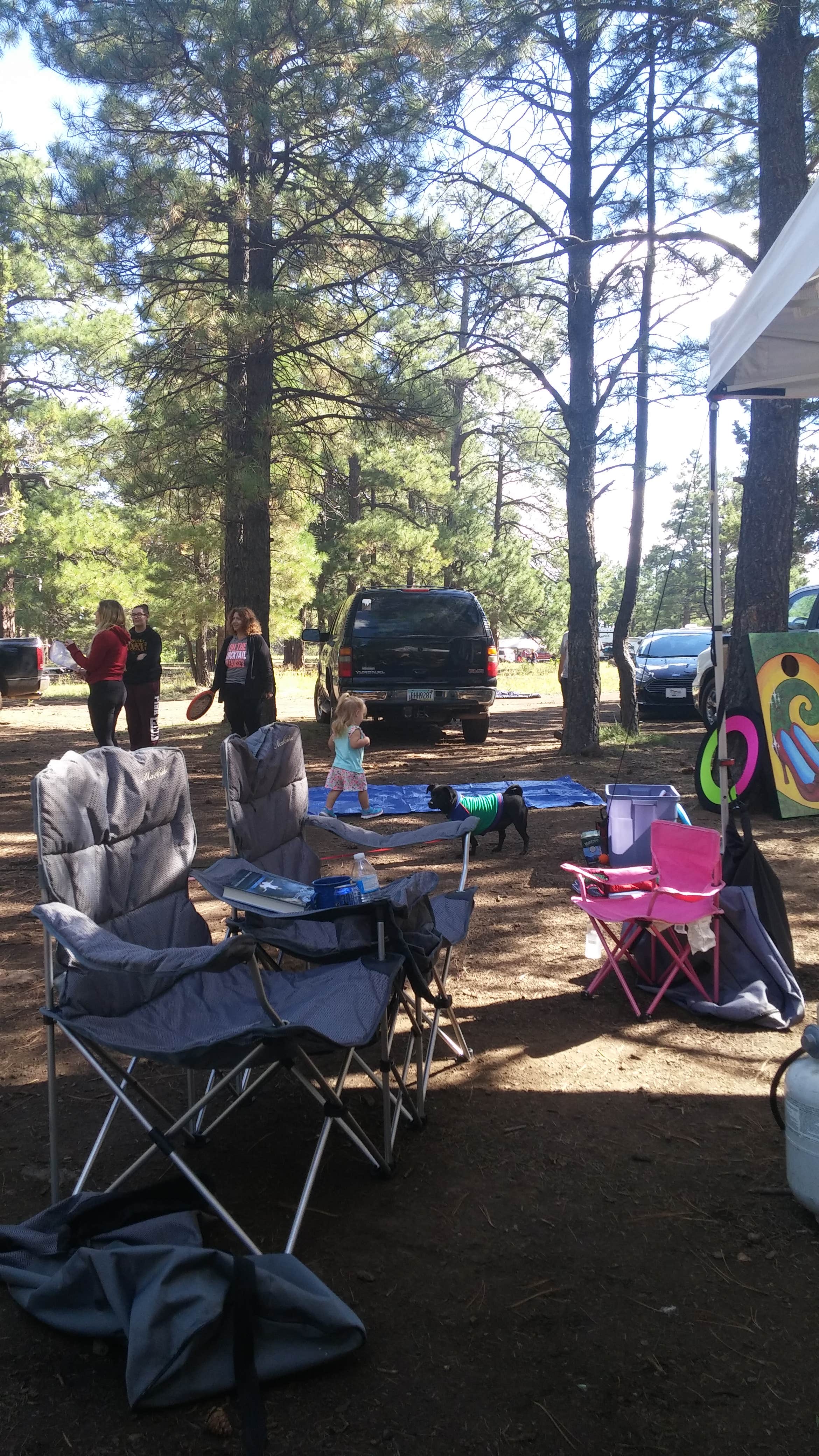 Camper submitted image from Ashurst Lake — Coconino National Forest Recreation - 3