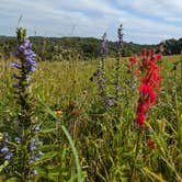 Review photo of Schmidt Farm by Forestville by Karen S., September 17, 2024