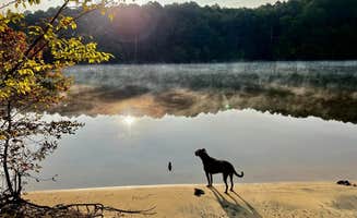 Chris K.'s photo of camping with pets at Holly Point — Falls Lake State Recreation Area near Garner, NC