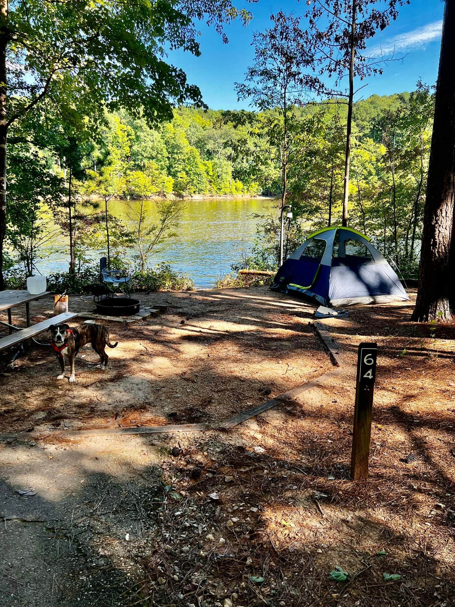 Chris K.'s photo at Holly Point — Falls Lake State Recreation Area near Wake Forest, NC