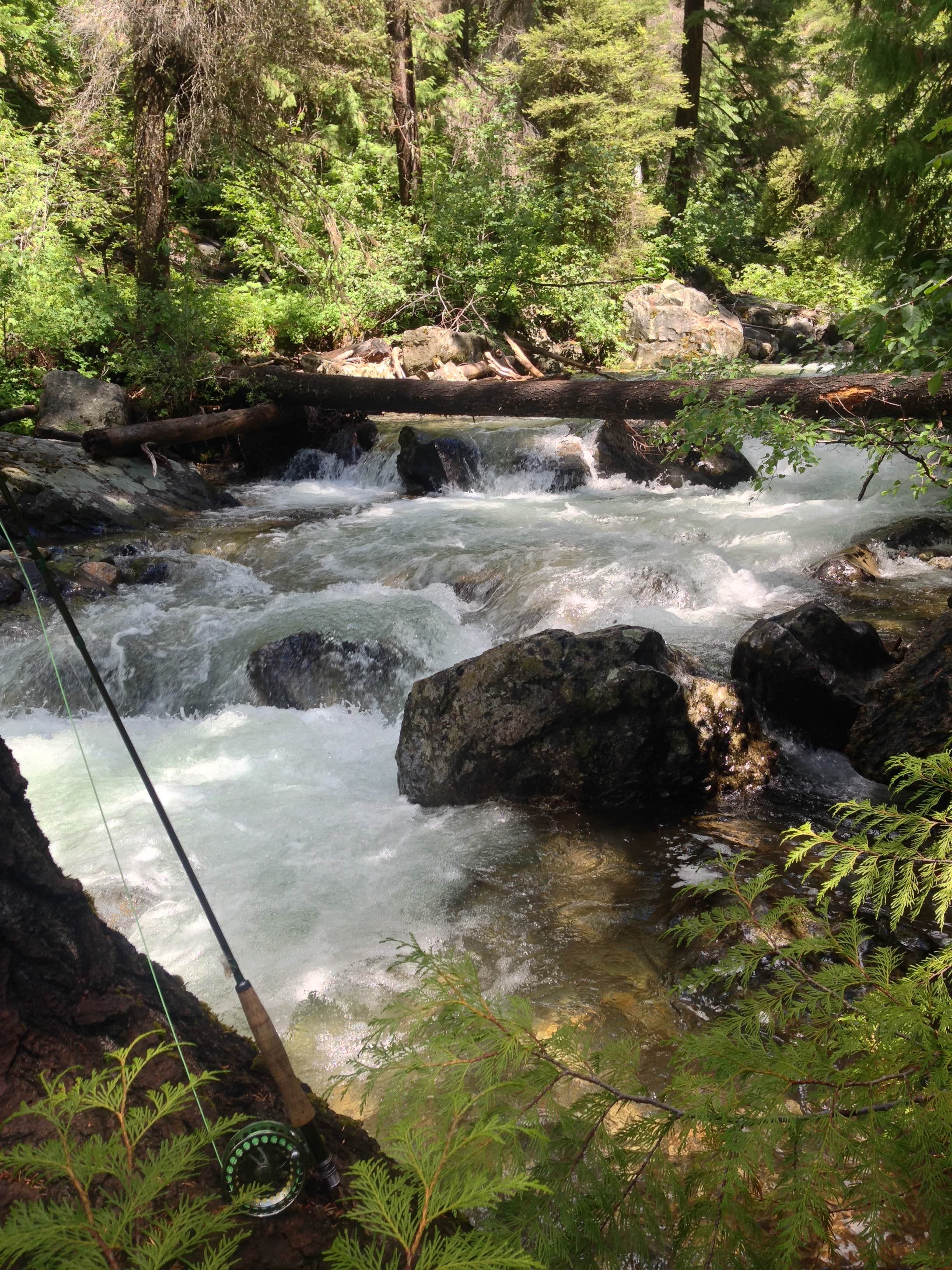 Camper submitted image from Boulder Creek Campground - 4