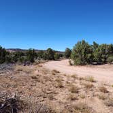 Review photo of Blake Gubler Road BLM by Francisco F., September 18, 2024