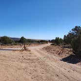 Review photo of Blake Gubler Road BLM by Francisco F., September 18, 2024