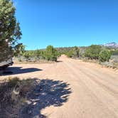 Review photo of Blake Gubler Road BLM by Francisco F., September 18, 2024