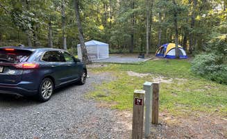 Judy W.'s photo at Bull Run Regional Park near Vienna, VA