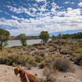 Review photo of Upper Campground - Pahranagat National Wildlife Refuge by David M., September 19, 2024