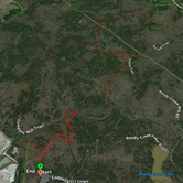 Review photo of William B. Umstead State Park Campground by Ezra F., June 7, 2015