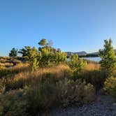 Review photo of Upper Campground - Pahranagat National Wildlife Refuge by David M., September 19, 2024