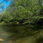 Review photo of William B. Umstead State Park Campground by Ezra F., June 7, 2015