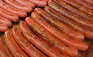 The Dyrt's photo of camping with pets at ATV Katahdin Moose Kamp near Mapleton, ME