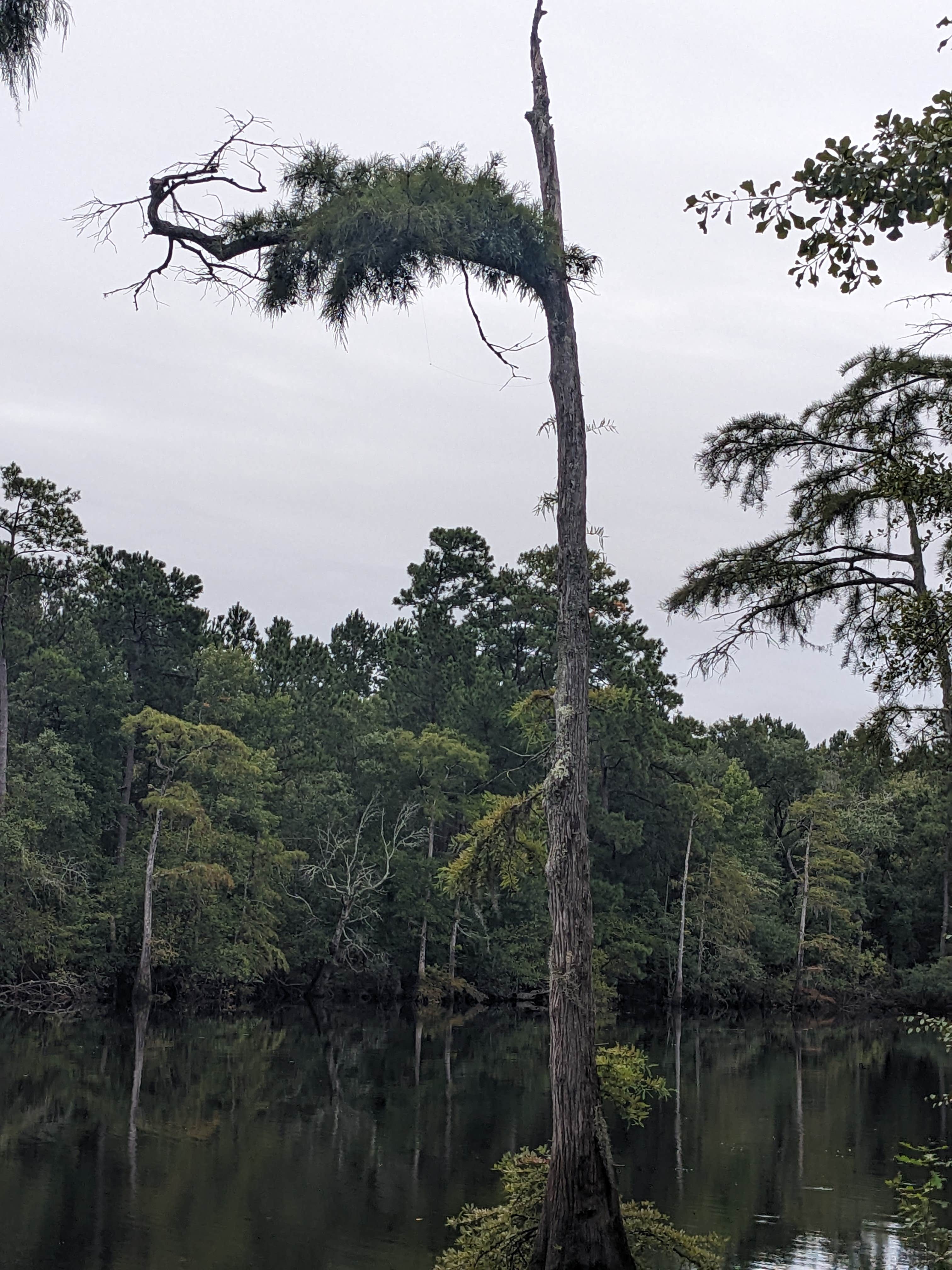 Camper submitted image from Hobb’s Family Campground - 1