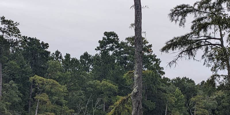 Camper submitted image from Hobb’s Family Campground