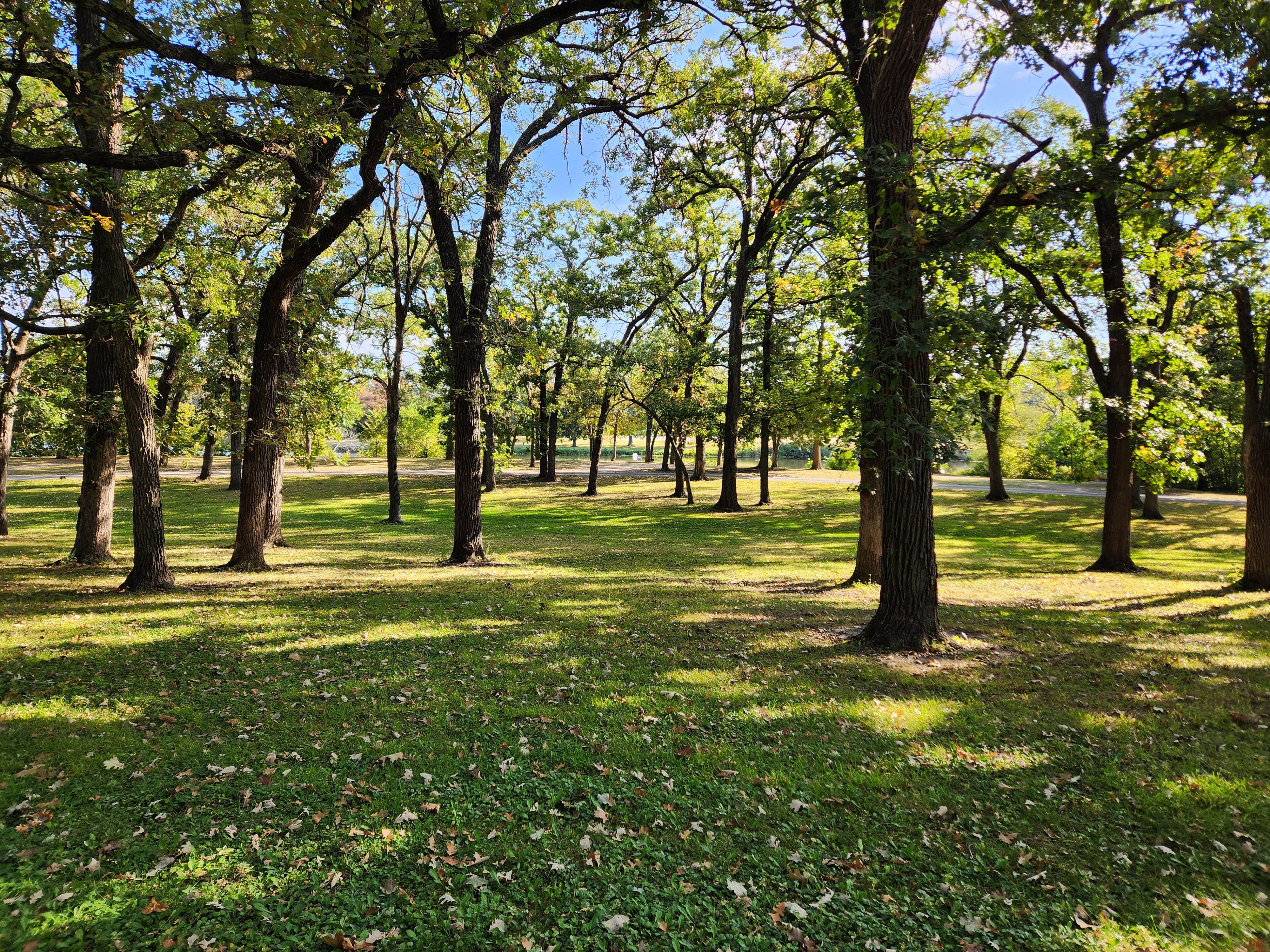 Camper submitted image from Oelwein City Park - 1