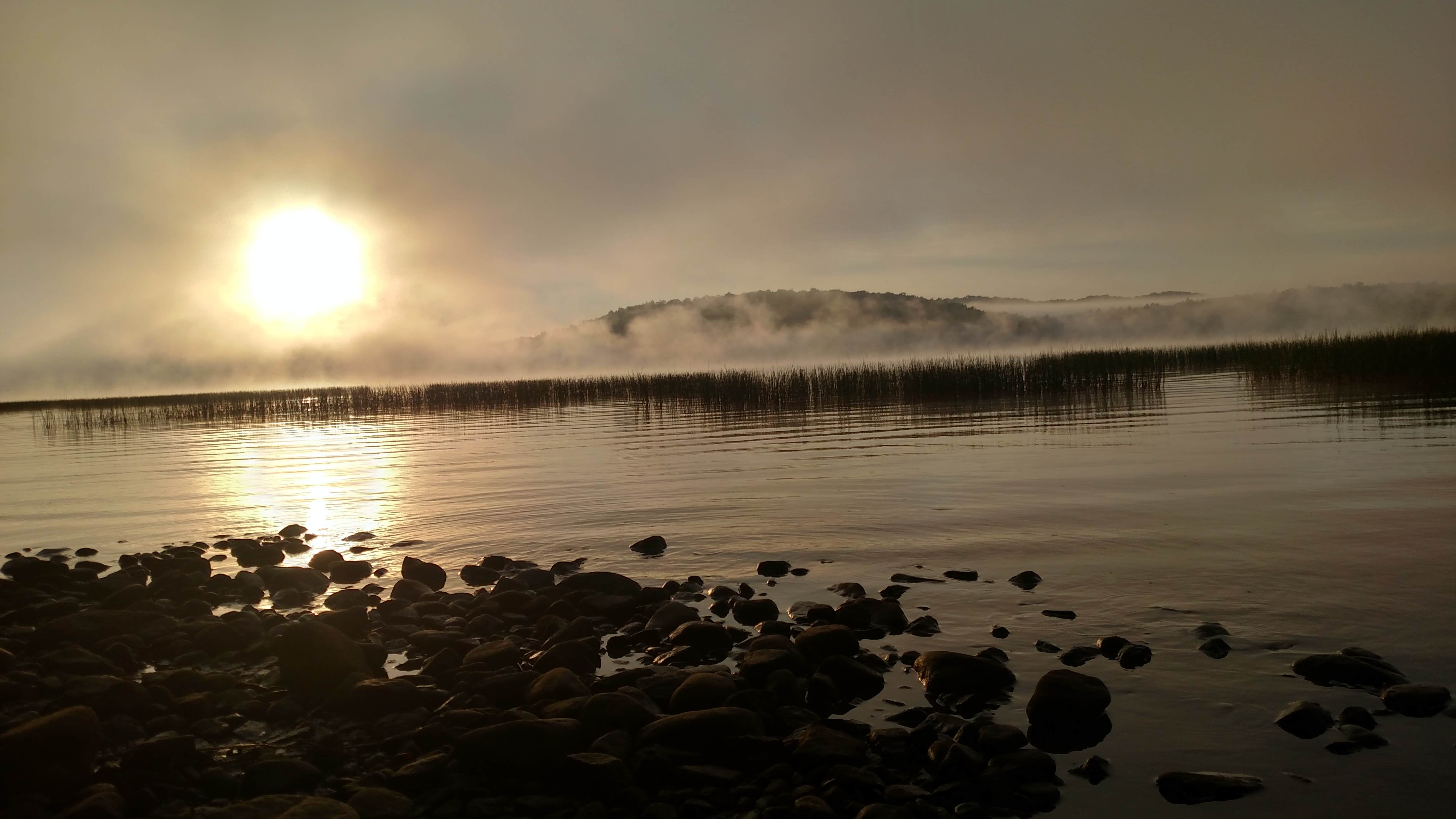 View All