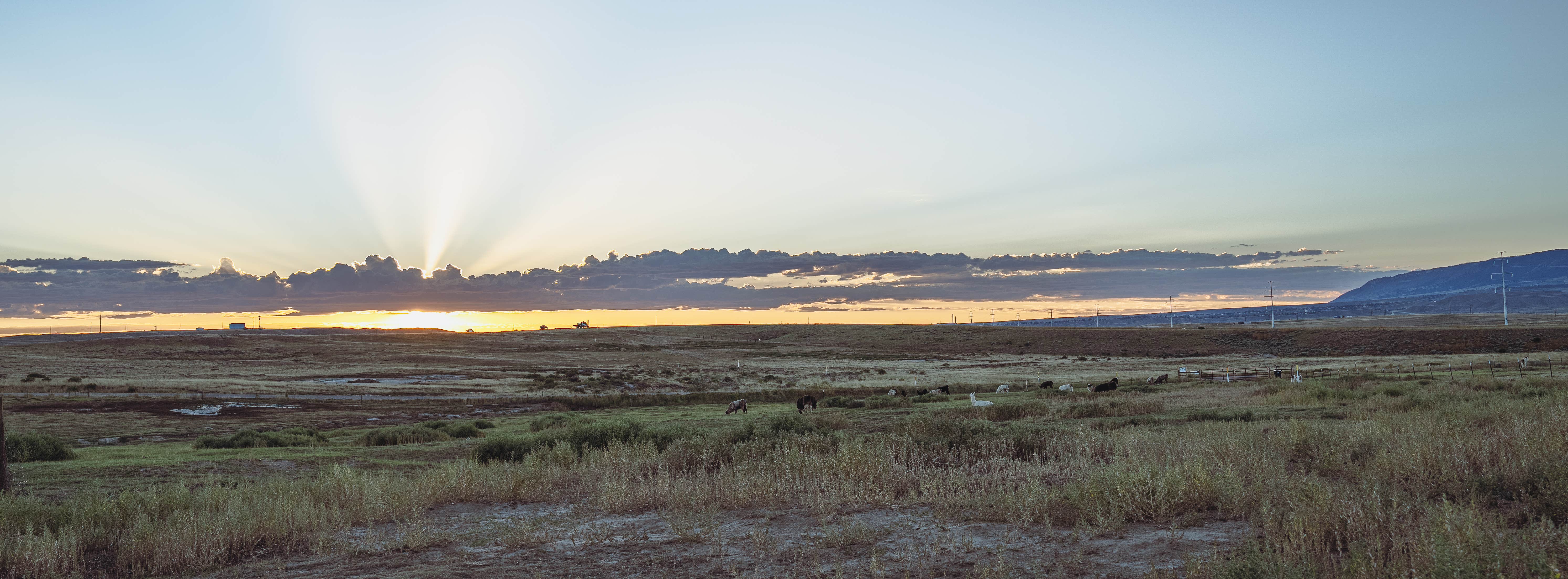 Camper-submitted photo at Cloud Peak Llama and Alpaca Ranch near Alcova, WY