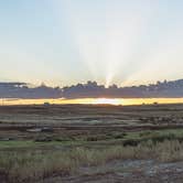 Review photo of Cloud Peak Llama and Alpaca Ranch by Thomas M., September 22, 2024