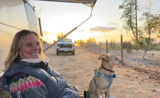 Charlie W.'s photo of camping with pets at Provisions Farm near Cardiff-by-the-Sea, CA