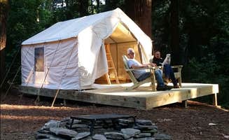 The Dyrt's photo at Serene Redwood Retreat near Felton, CA