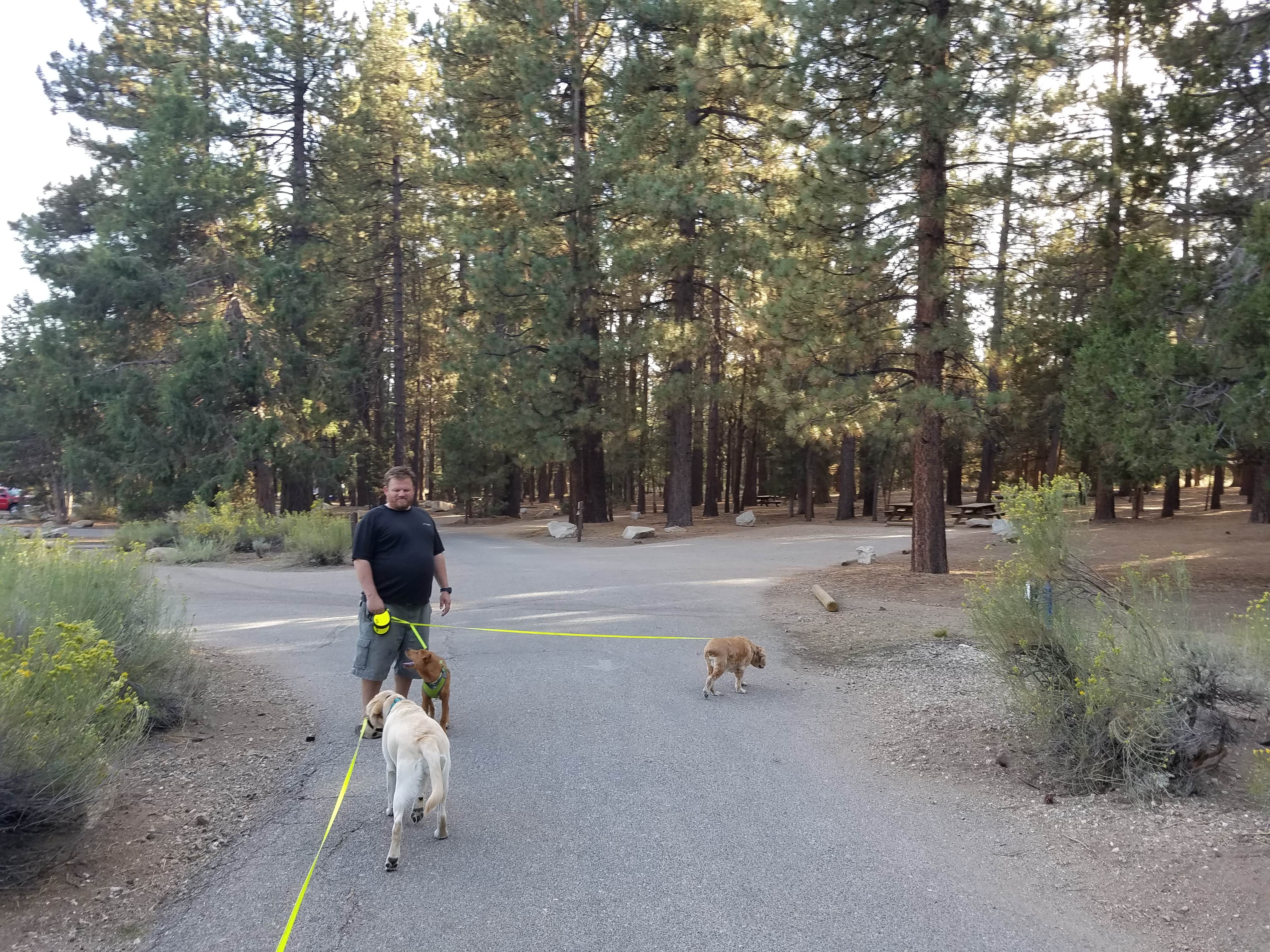 Camper-submitted photo at Serrano near Redlands, CA