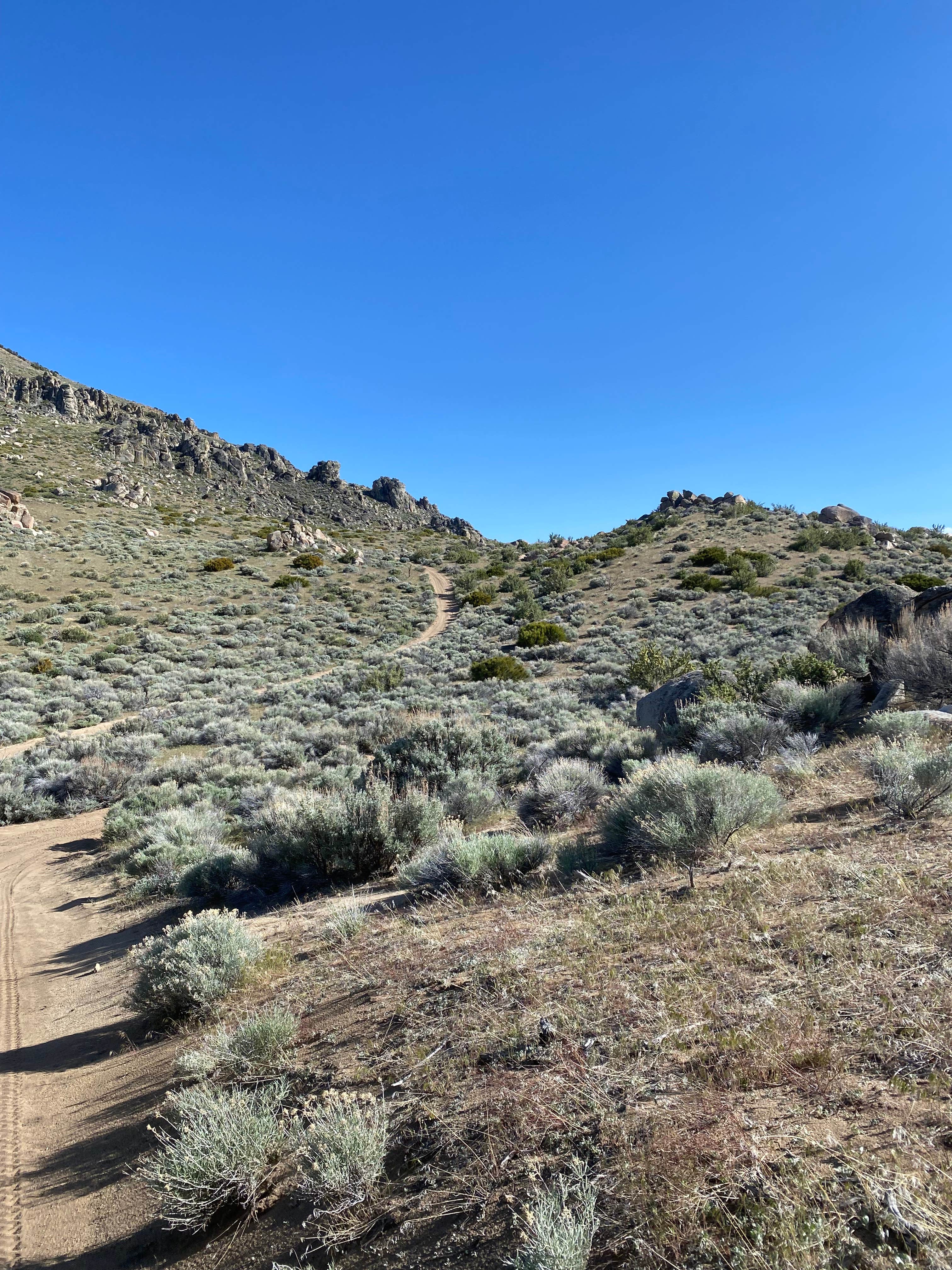 Camper-submitted photo at Fort Sage Off Highway Vehicle Area near Chilcoot, CA