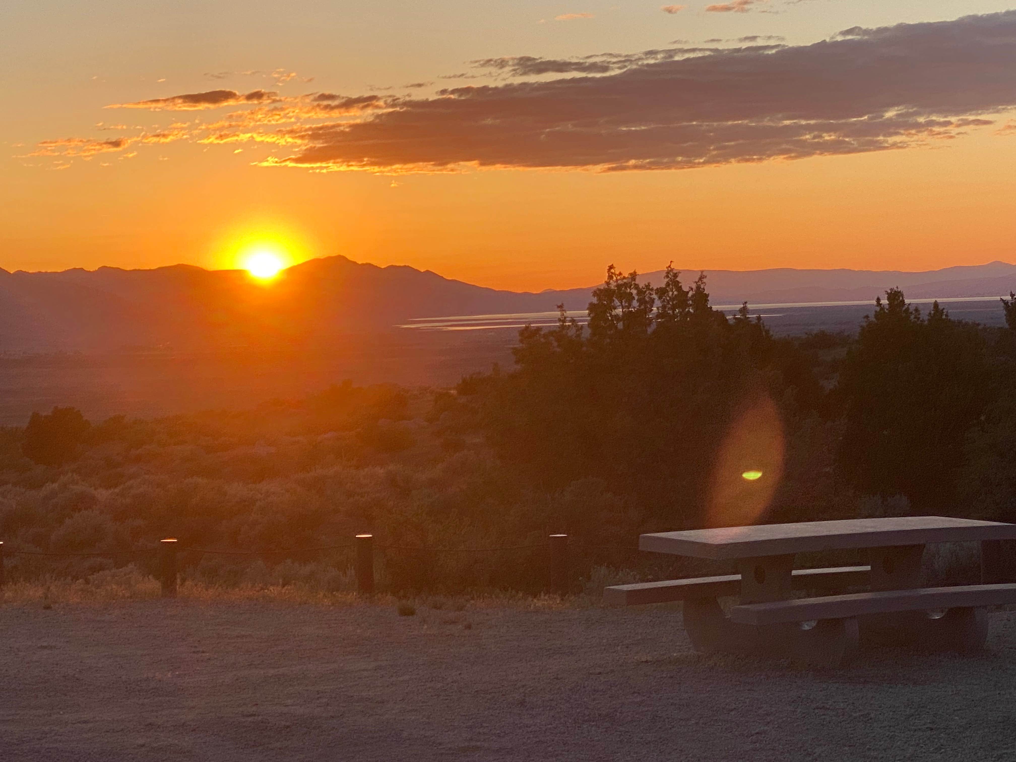 Patricia N.'s photo of a dispersed camping area at Fort Sage Off Highway Vehicle Area near Plumas National Forest