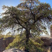 Review photo of City of Rocks State Park by Patricia N., September 23, 2024