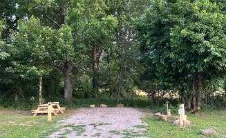 Vien W.'s photo of camping with pets at Turner Bend near Ozark, AR
