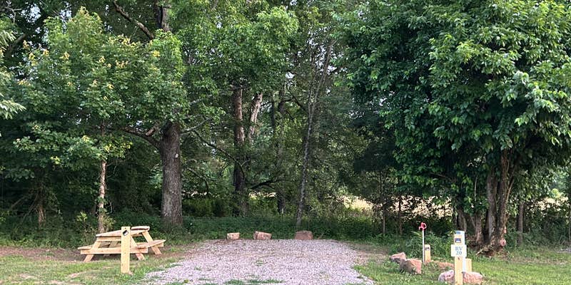 Camper submitted image from Turner Bend