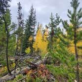 Review photo of Boreas Pass Road Designated Dispersed Camping by Stacy T., September 23, 2024