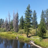 Review photo of Deadwood Campground by Stephanie L., September 15, 2016